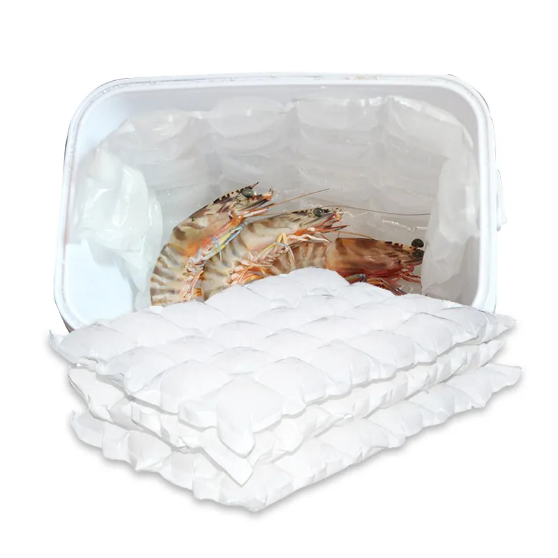 Dry Ice Pack | Ice Pack Bag | Ice Bag Dry Ice Pack | Ice Pack Bag | Ice Bag