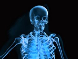 Body health promo code for a healthier you