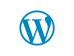 WordPress Developer Near Me For Your Perfect Website