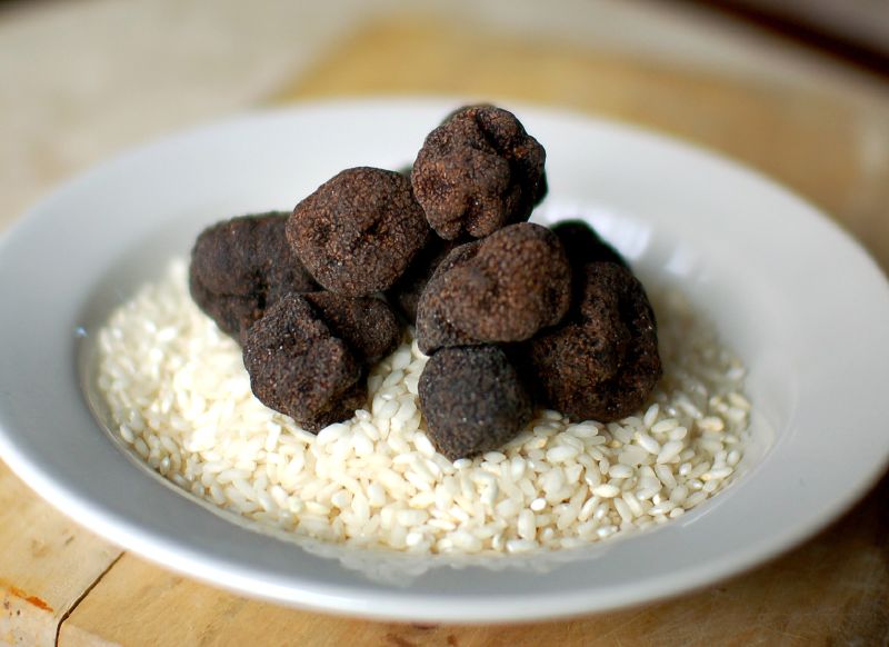 Truffle health benefits: Expensive but very nutritious! - Nutrition ... Truffle health benefits: Expensive but very nutritious! - Nutrition ...