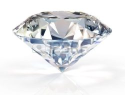 Diamond Cross Ranch Promo Code For Exclusive Deals