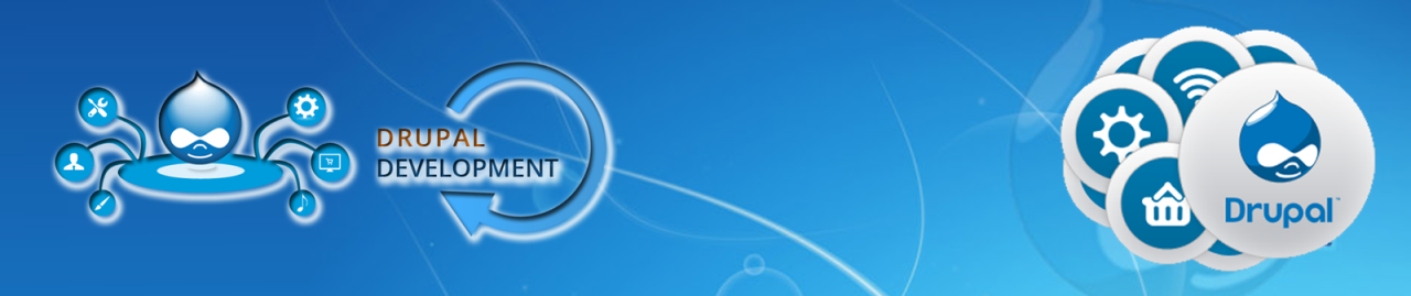 Development in Drupal for companies Development in Drupal for companies