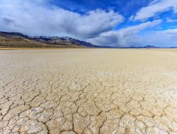 desert diamond app Unlock a World of Seamless Translation