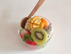 mochi health code Unlocking Wellness Through Tradition