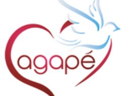 agape diamonds coupon Unveil Incredible Savings Today