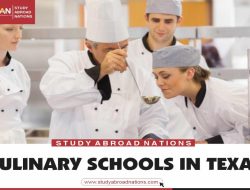 culinary arts schools near me Discover Your Passion for Cooking