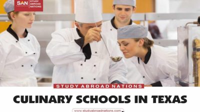 culinary arts schools near me Discover Your Passion for Cooking