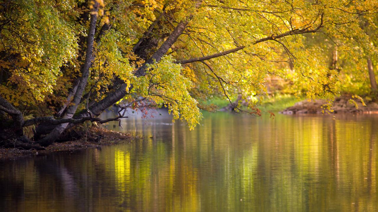 3840x2160 Images Free Download | PixelsTalk.Net 3840x2160 Images Free Download | PixelsTalk.Net
