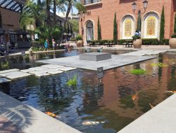 fashionphile fashion island Your Ultimate Style Destination