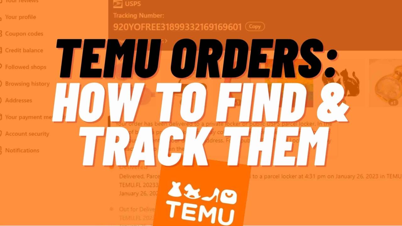 What To Know About Temu: Is it a Real Website? What To Know About Temu: Is it a Real Website?