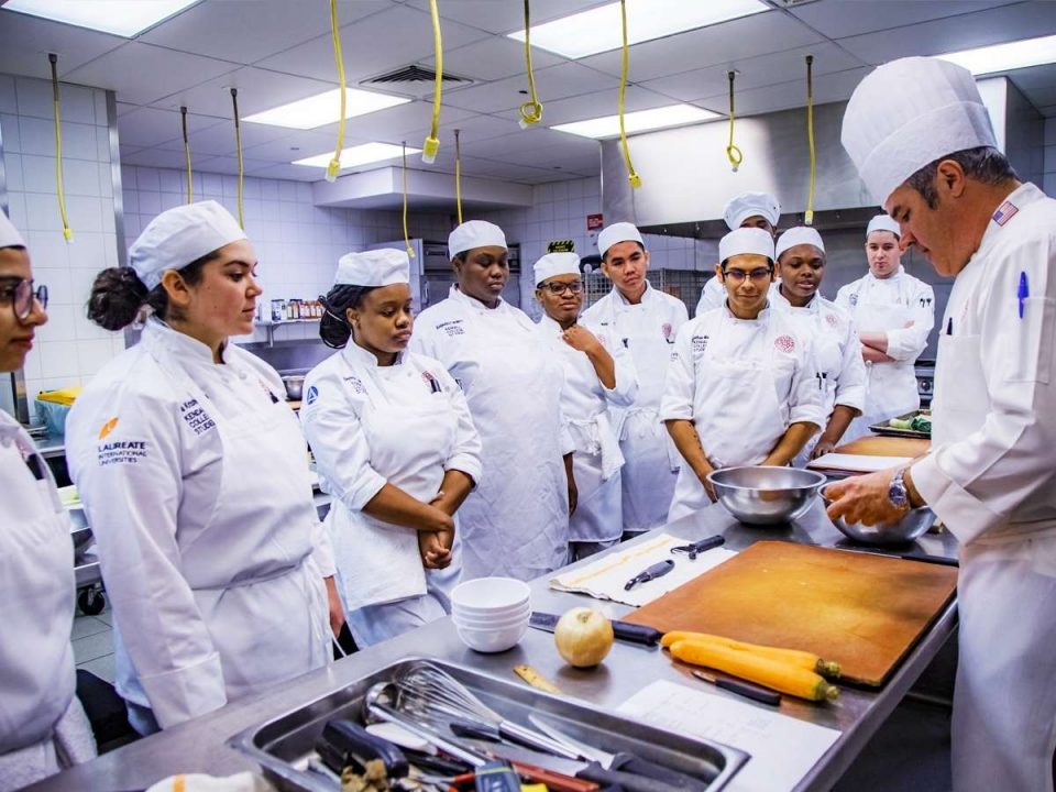 Best 12 Culinary Schools in Illinois - Chef's Pencil Best 12 Culinary Schools in Illinois - Chef's Pencil