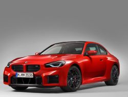 Auto Accessories Garage Online Coupon