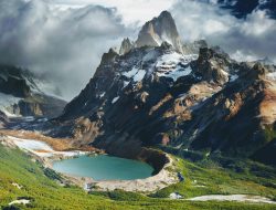 Patagonia Corporate Jackets For Stylish Professionals