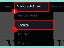 WordPress Website Developer Near Me Find Your Expert Today