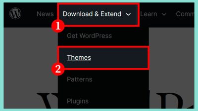 WordPress Website Developer Near Me Find Your Expert Today