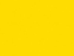 Yellow Jacket Bee Killer For Effective Pest Control
