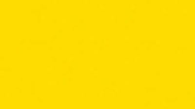 Yellow Jacket Bee Killer For Effective Pest Control