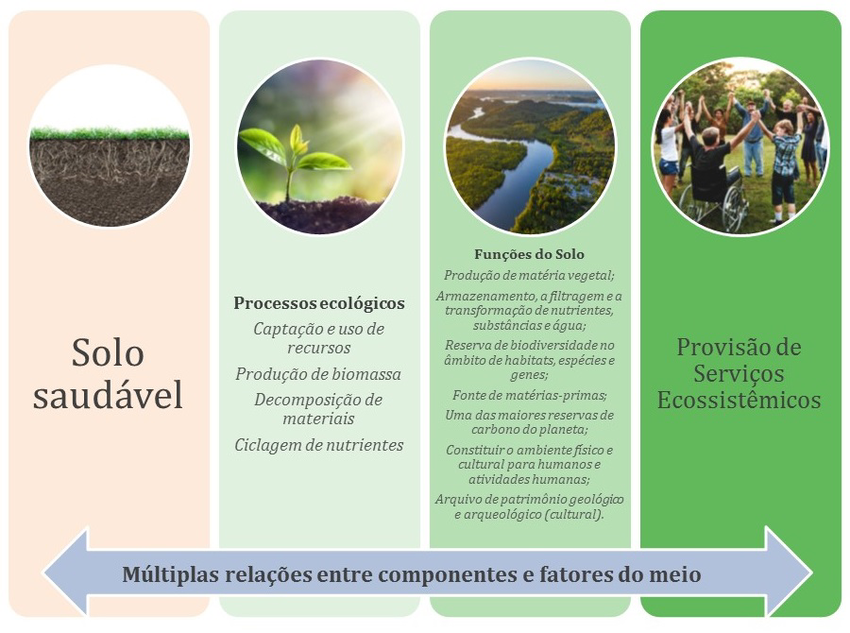 Produtividade e saúde do solo: até onde podemos ir sem comprometer o ... Produtividade e saúde do solo: até onde podemos ir sem comprometer o ...