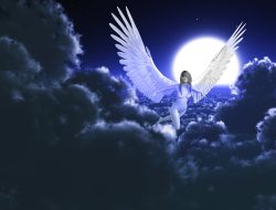 angel gowns near me – Find Your Perfect Tribute