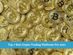 Platforms to buy crypto your gateway to digital wealth