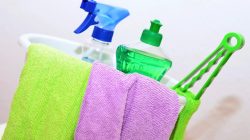 Cleaning 13