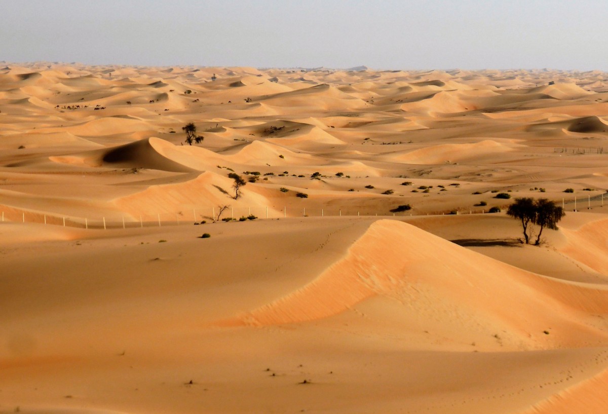 2560x1440px | free download | HD wallpaper: brown sand desert, dune ... 2560x1440px | free download | HD wallpaper: brown sand desert, dune ...