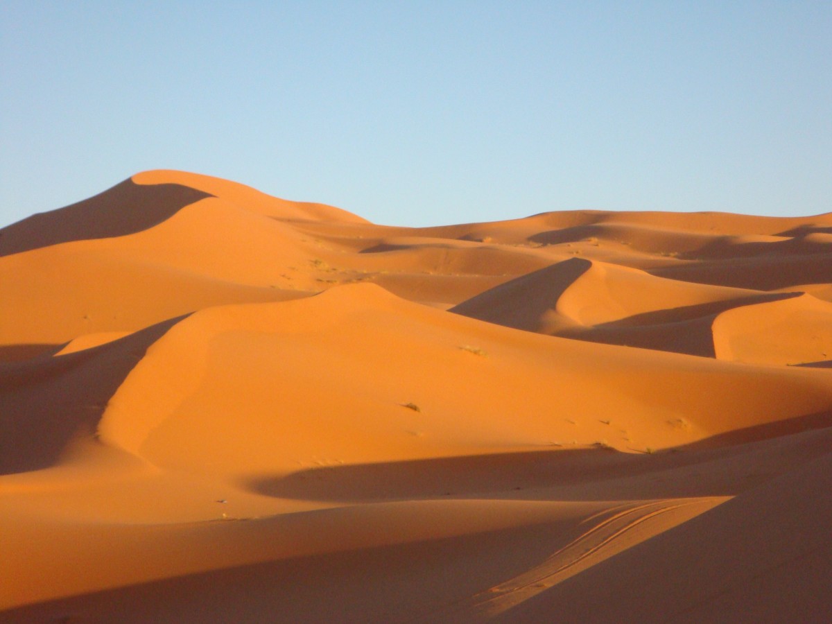 Free Images : landscape, desert, sand dune, sandy, habitat, sahara ... Free Images : landscape, desert, sand dune, sandy, habitat, sahara ...