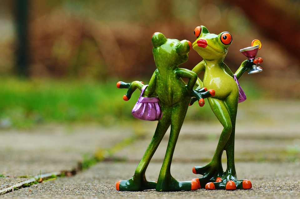 Frogs Party Cocktail · Free photo on Pixabay Frogs Party Cocktail · Free photo on Pixabay