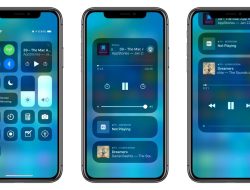 Ios Developers Near Me Find The Best Talent Now