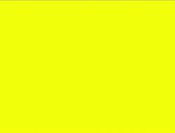 Yellow Jacket Exterminators Near Me For Fast Relief
