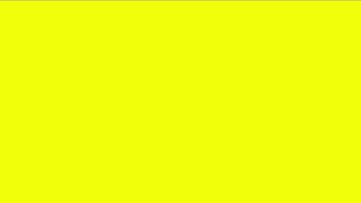 Yellow Jacket Exterminators Near Me For Fast Relief