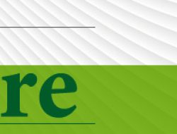 Health Insurance Brokers For Small Business Near Me