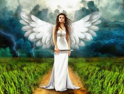 Angel Gown Organizations Near Me For Heartfelt Support