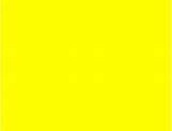Yellow Jacket Pest Control Near Me For A Safer Home
